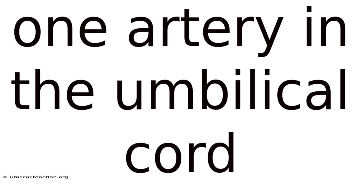 One Artery In The Umbilical Cord