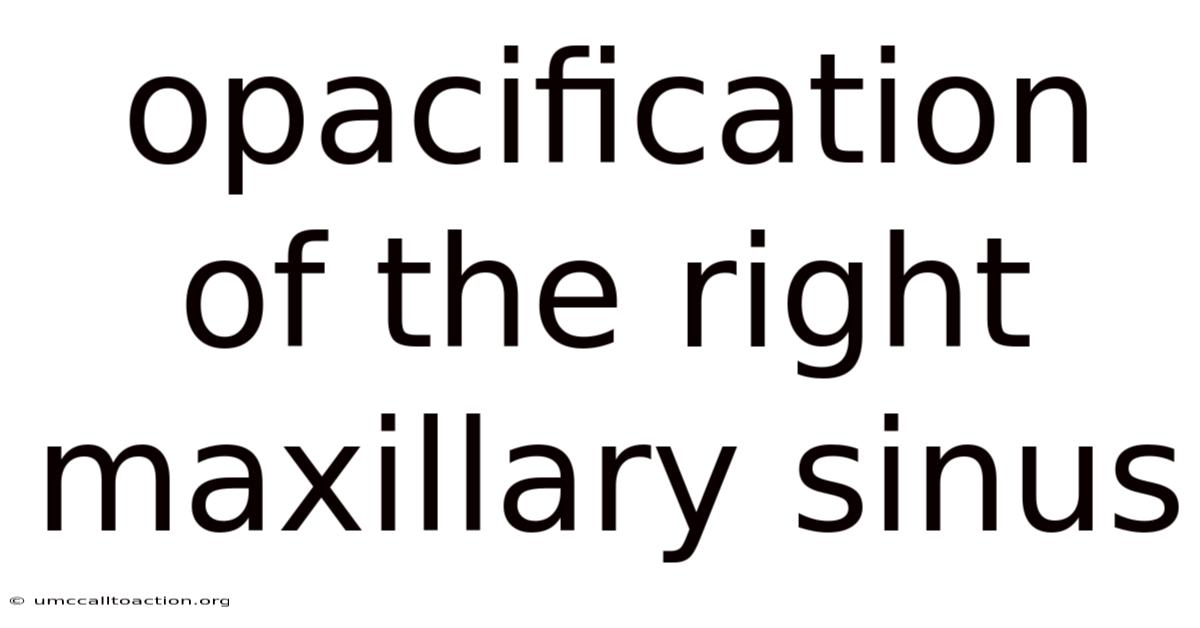 Opacification Of The Right Maxillary Sinus