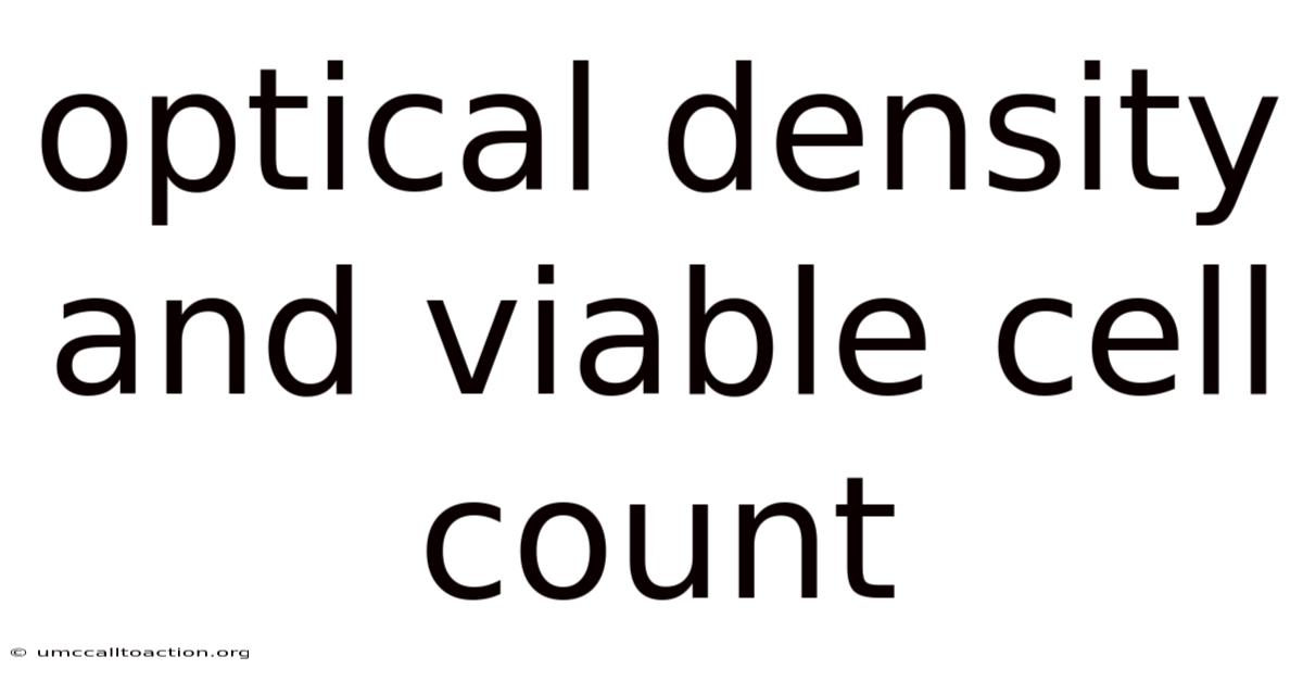 Optical Density And Viable Cell Count