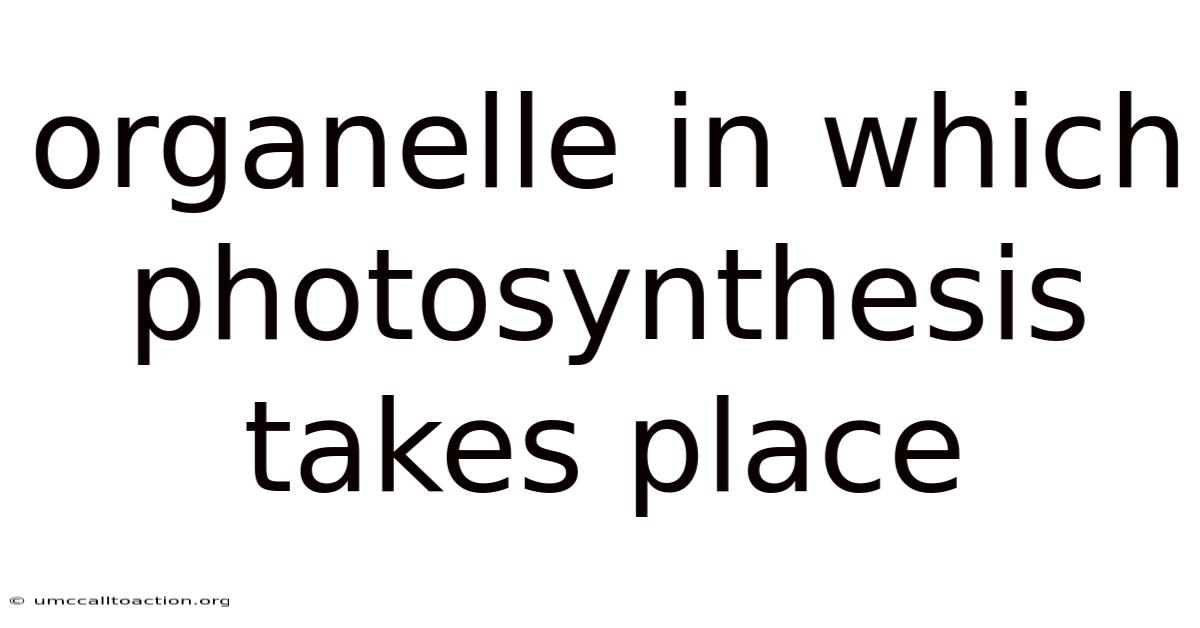Organelle In Which Photosynthesis Takes Place