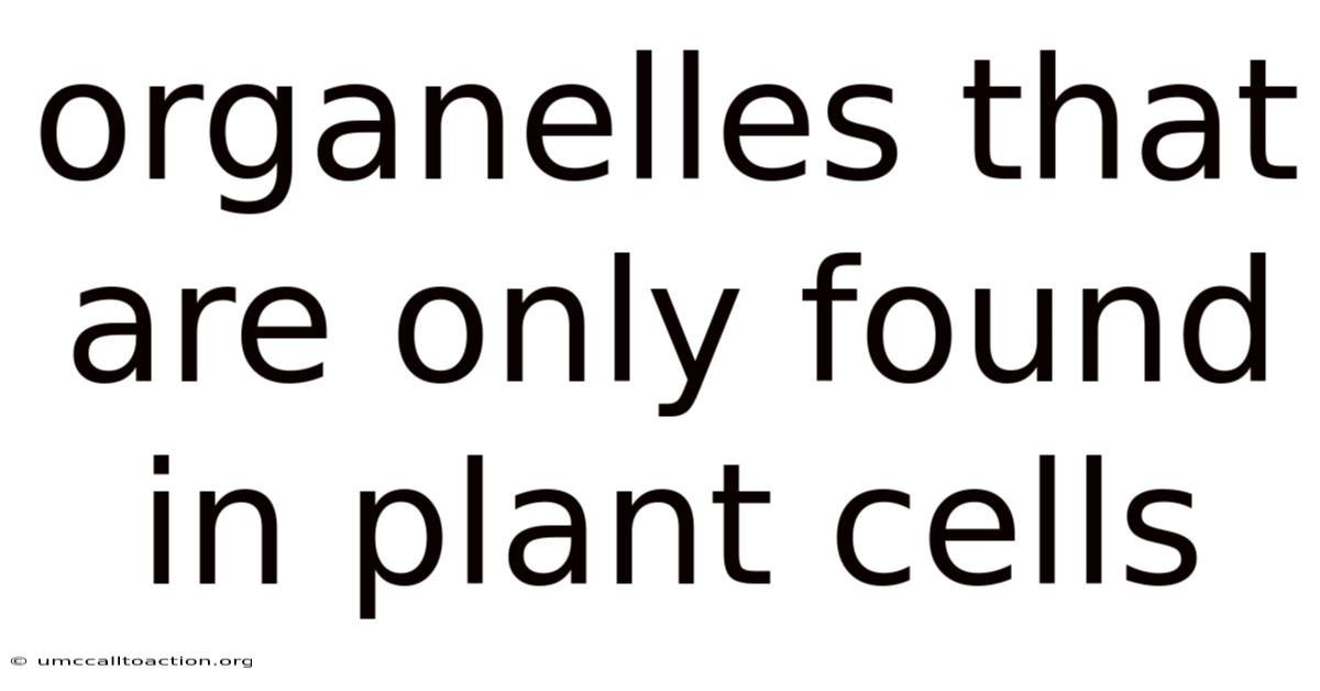 Organelles That Are Only Found In Plant Cells