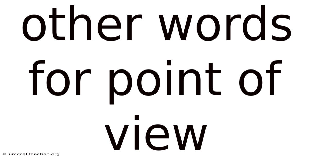 Other Words For Point Of View