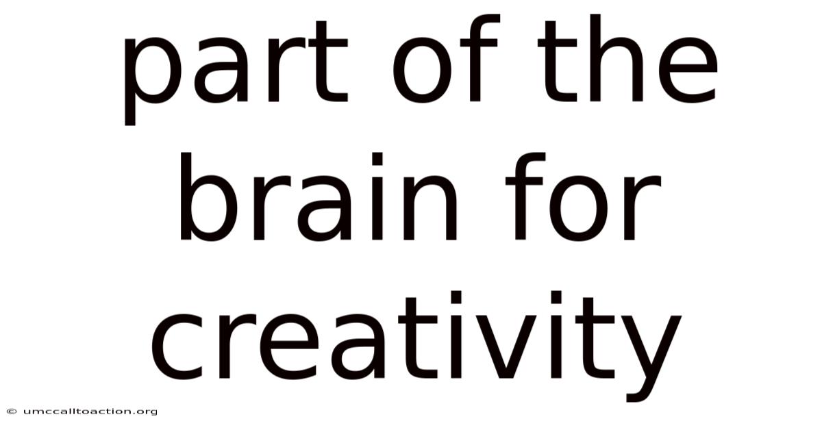 Part Of The Brain For Creativity