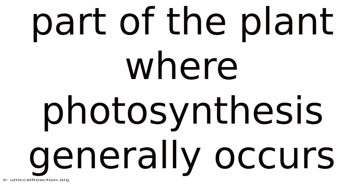Part Of The Plant Where Photosynthesis Generally Occurs