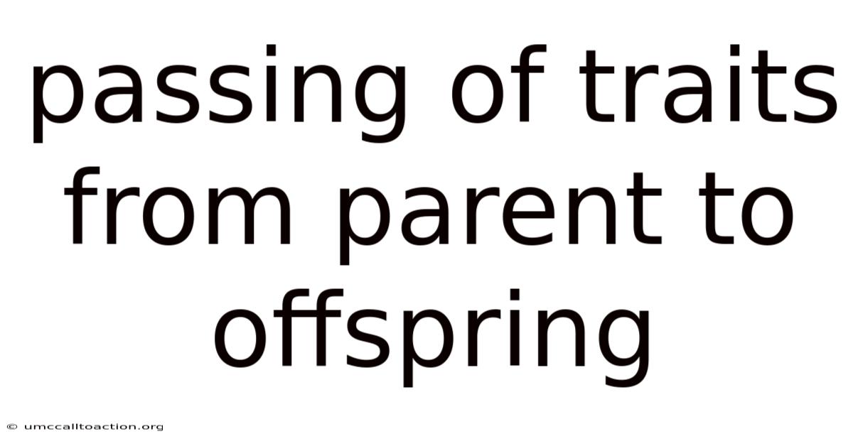 Passing Of Traits From Parent To Offspring