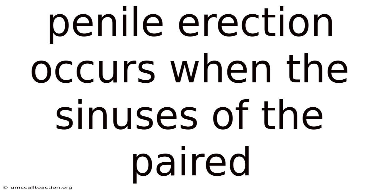Penile Erection Occurs When The Sinuses Of The Paired