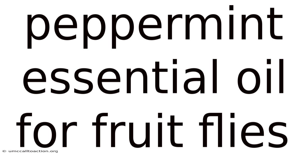 Peppermint Essential Oil For Fruit Flies