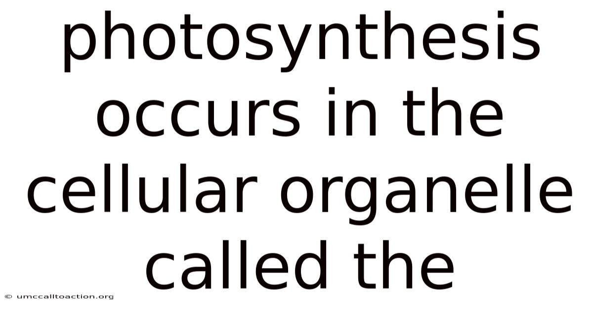Photosynthesis Occurs In The Cellular Organelle Called The