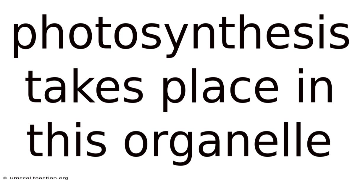 Photosynthesis Takes Place In This Organelle