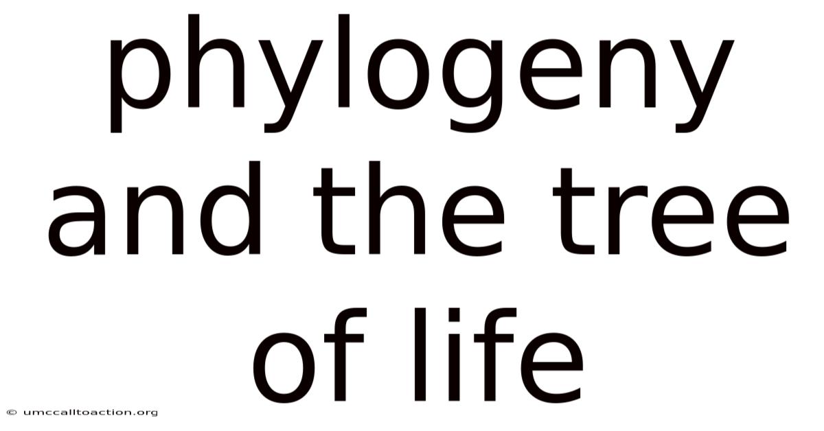 Phylogeny And The Tree Of Life