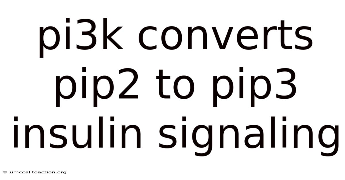 Pi3k Converts Pip2 To Pip3 Insulin Signaling