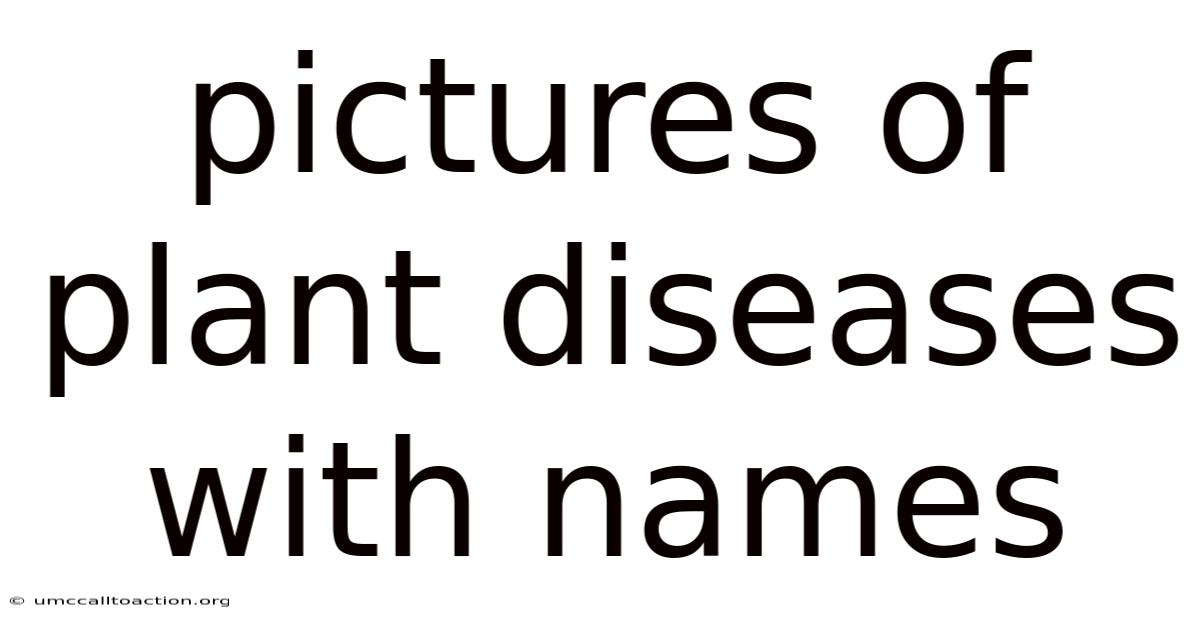 Pictures Of Plant Diseases With Names