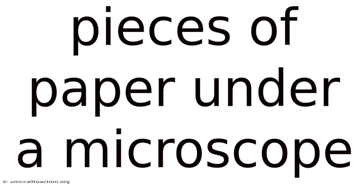 Pieces Of Paper Under A Microscope