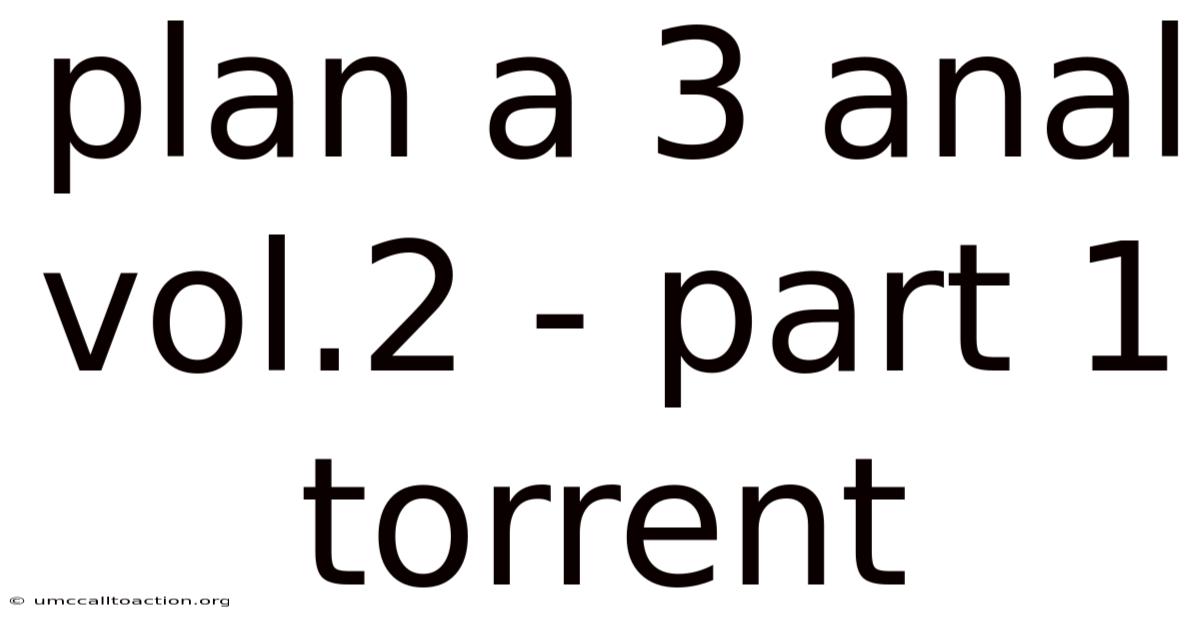 Plan A 3 Anal Vol.2 - Part 1 Torrent