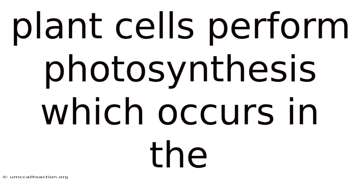 Plant Cells Perform Photosynthesis Which Occurs In The