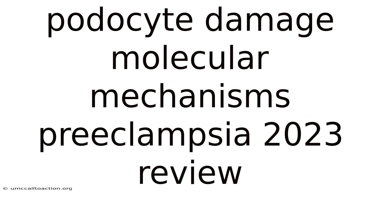 Podocyte Damage Molecular Mechanisms Preeclampsia 2023 Review