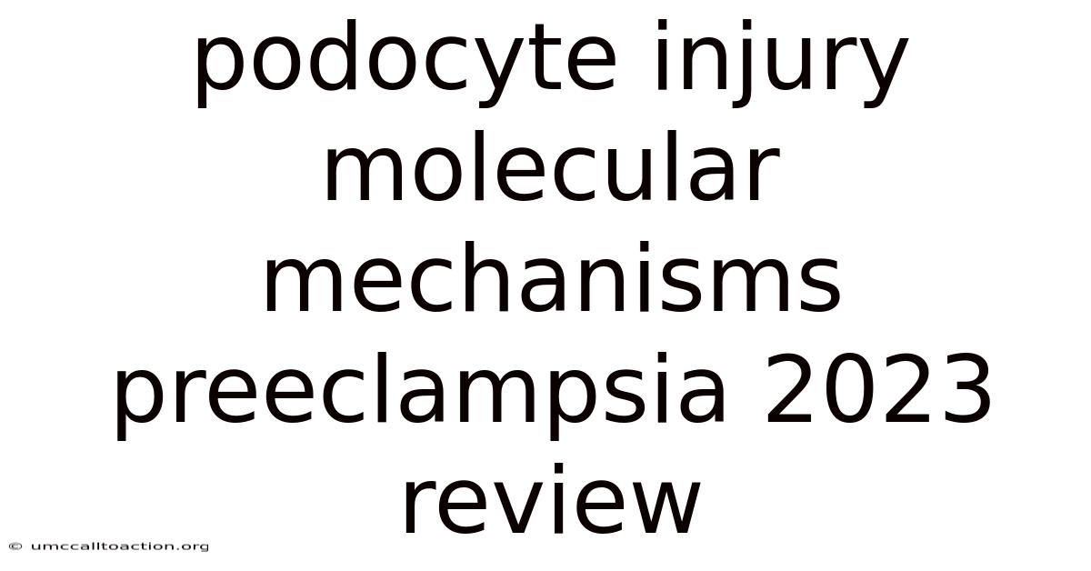 Podocyte Injury Molecular Mechanisms Preeclampsia 2023 Review