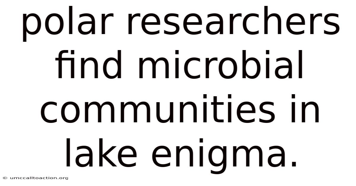 Polar Researchers Find Microbial Communities In Lake Enigma.