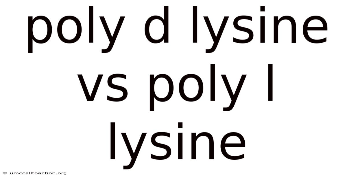Poly D Lysine Vs Poly L Lysine