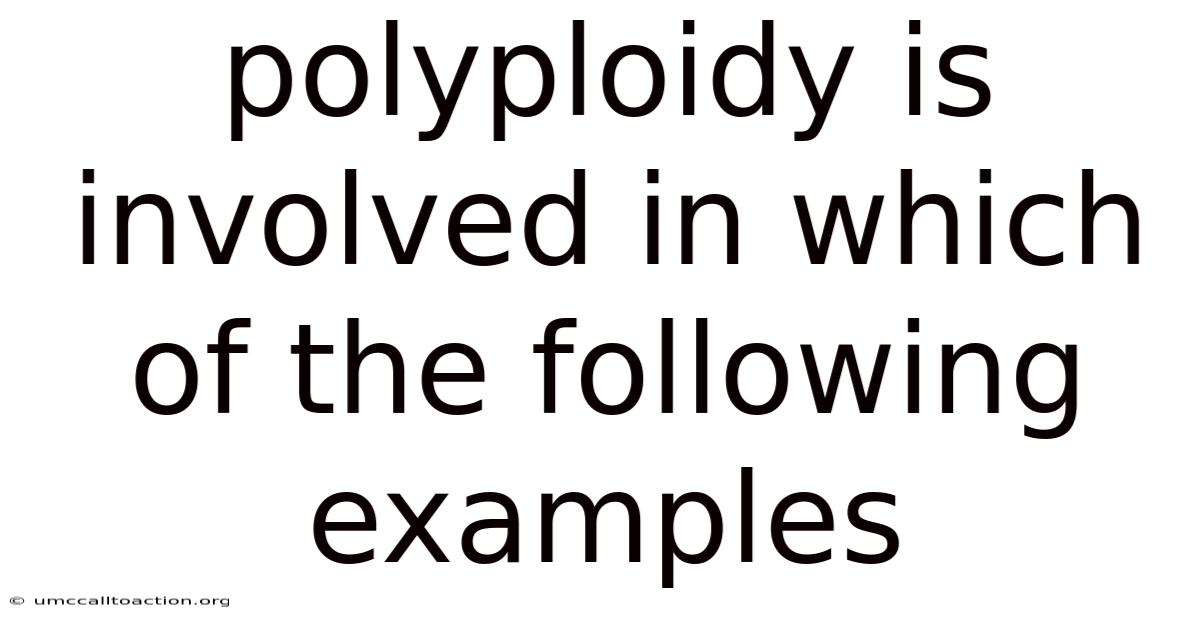 Polyploidy Is Involved In Which Of The Following Examples
