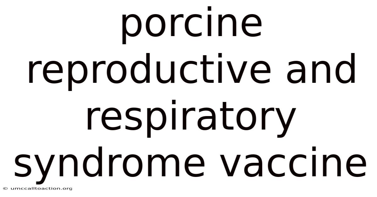 Porcine Reproductive And Respiratory Syndrome Vaccine