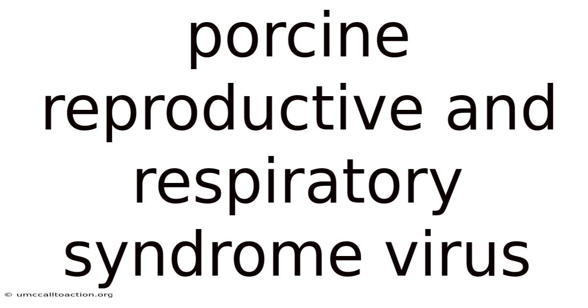 Porcine Reproductive And Respiratory Syndrome Virus
