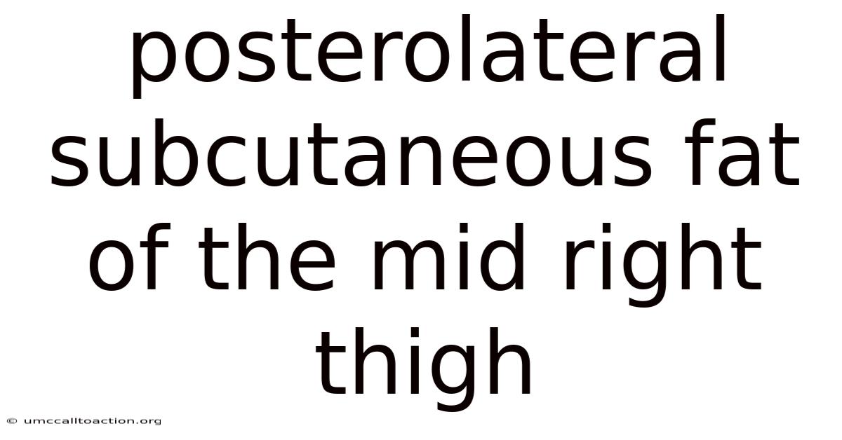 Posterolateral Subcutaneous Fat Of The Mid Right Thigh