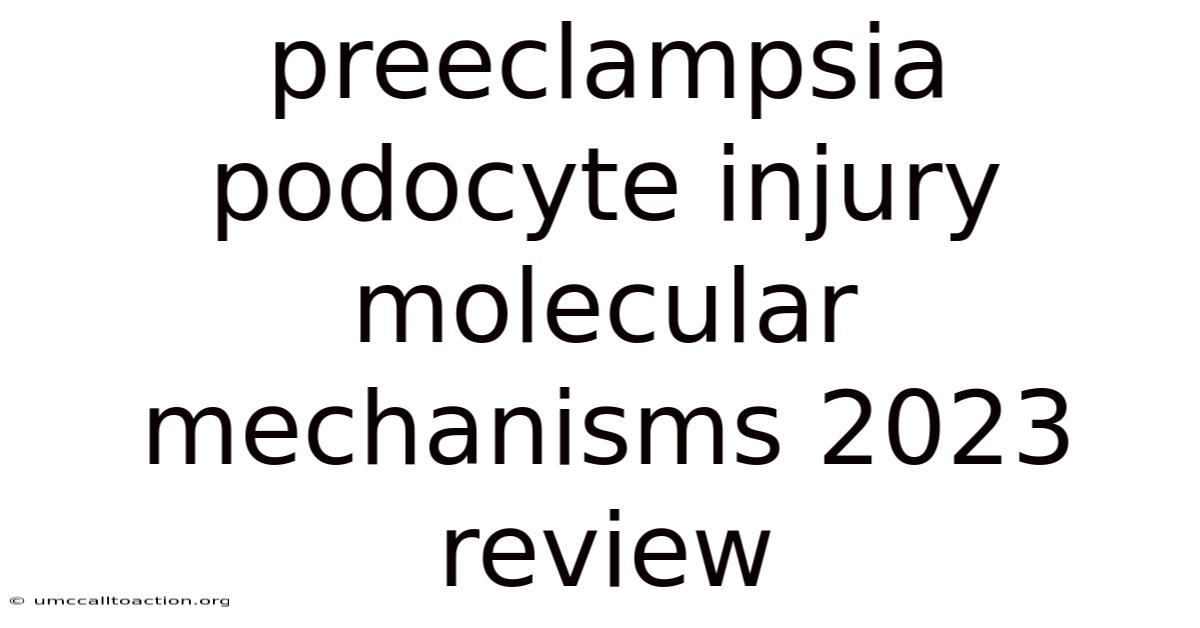 Preeclampsia Podocyte Injury Molecular Mechanisms 2023 Review