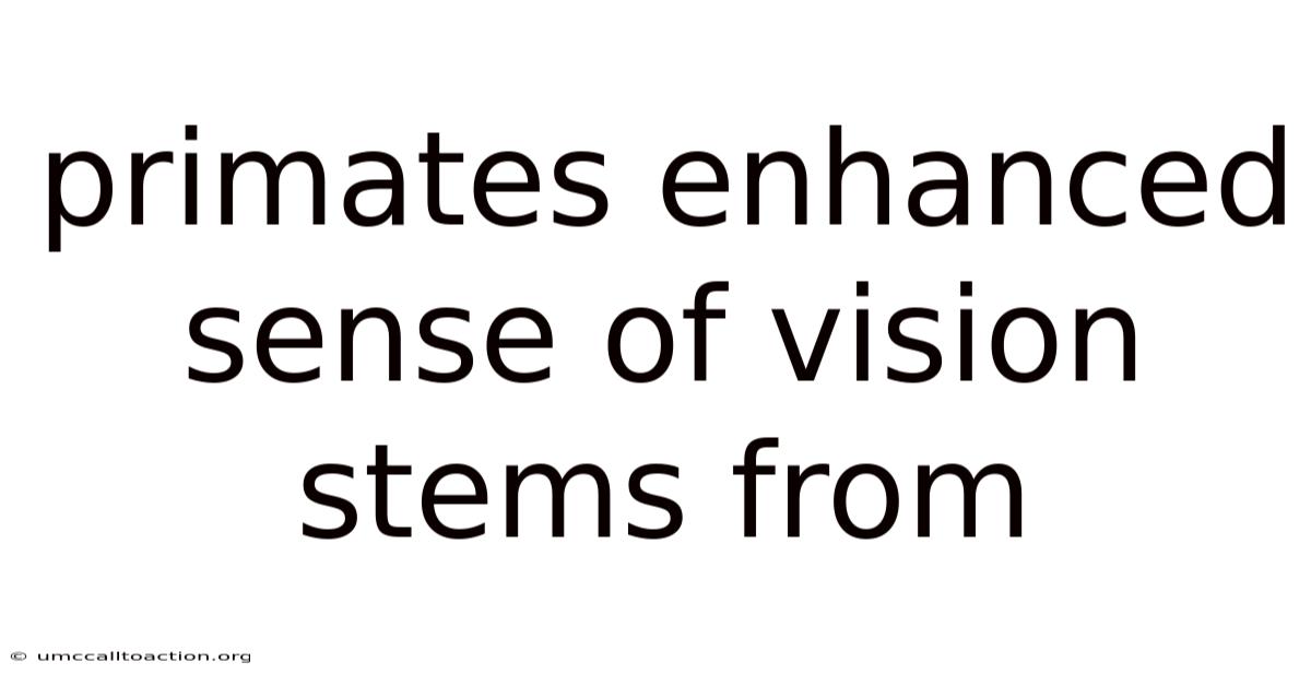 Primates Enhanced Sense Of Vision Stems From