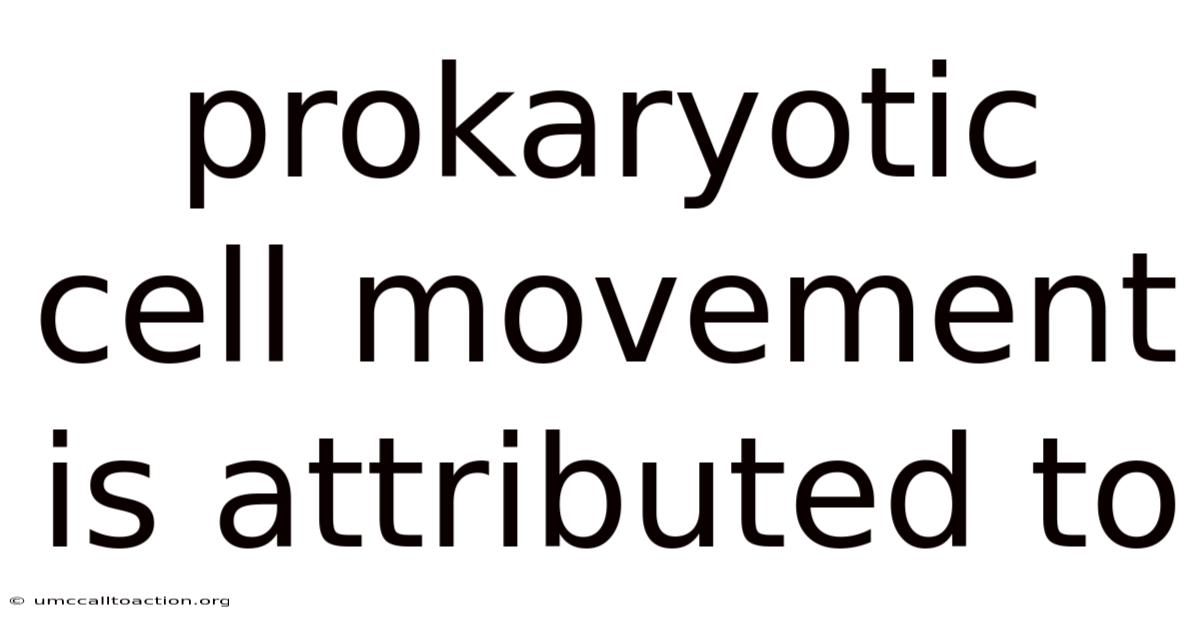 Prokaryotic Cell Movement Is Attributed To