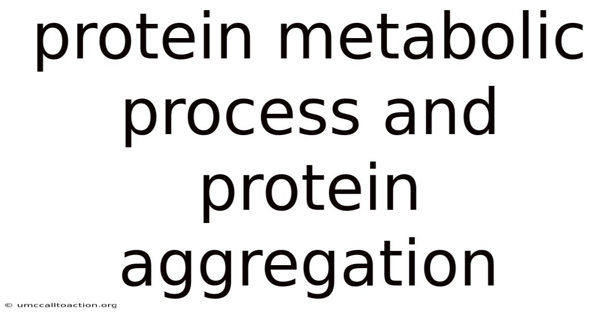 Protein Metabolic Process And Protein Aggregation
