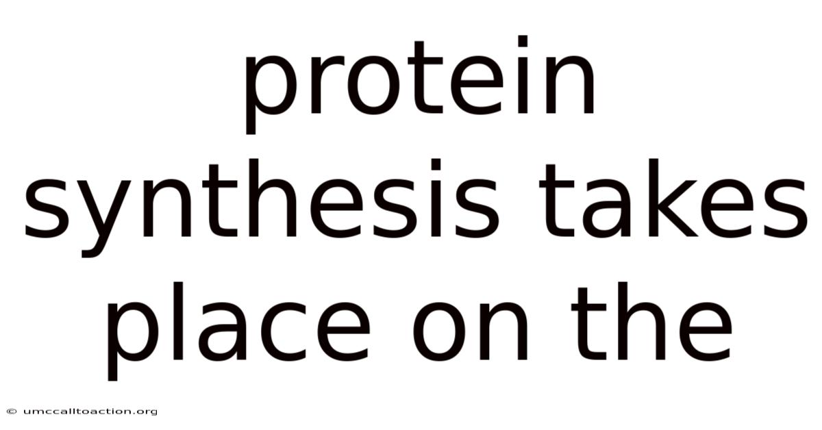 Protein Synthesis Takes Place On The