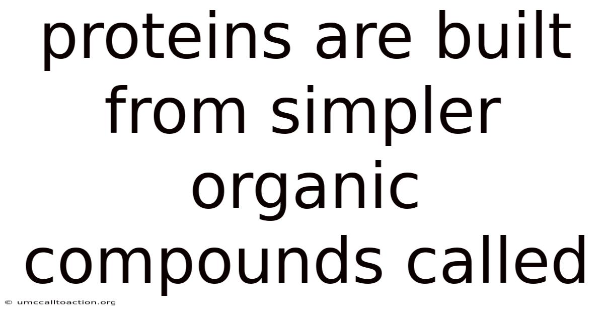 Proteins Are Built From Simpler Organic Compounds Called