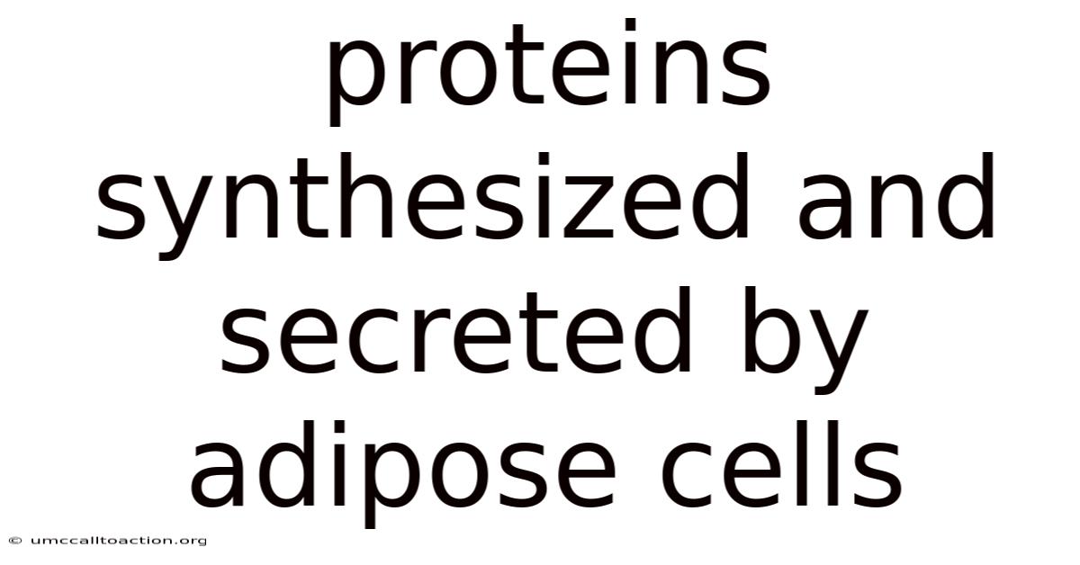 Proteins Synthesized And Secreted By Adipose Cells