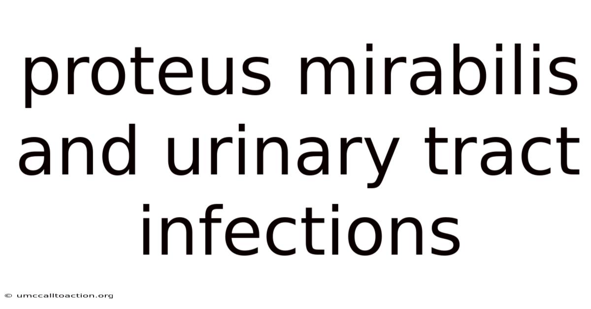 Proteus Mirabilis And Urinary Tract Infections