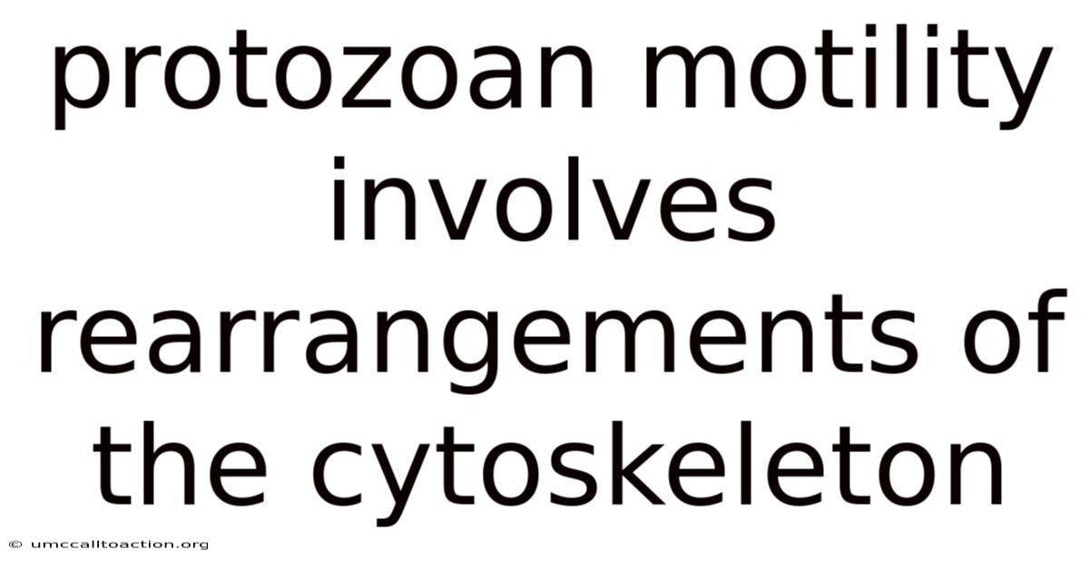 Protozoan Motility Involves Rearrangements Of The Cytoskeleton