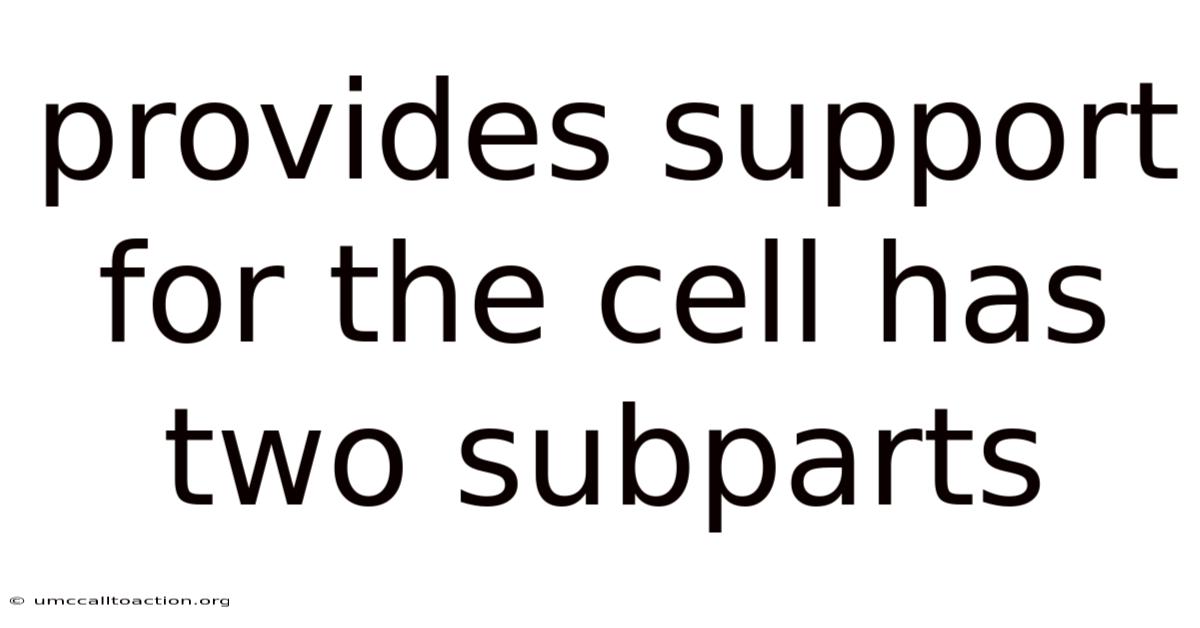 Provides Support For The Cell Has Two Subparts