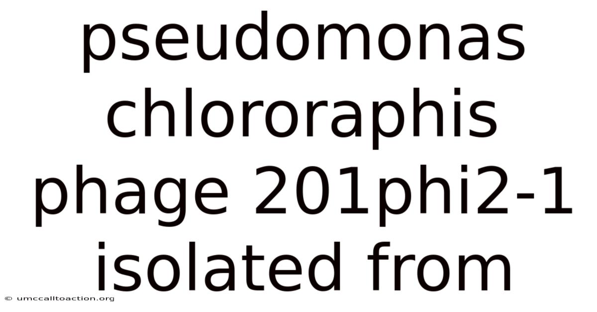 Pseudomonas Chlororaphis Phage 201phi2-1 Isolated From