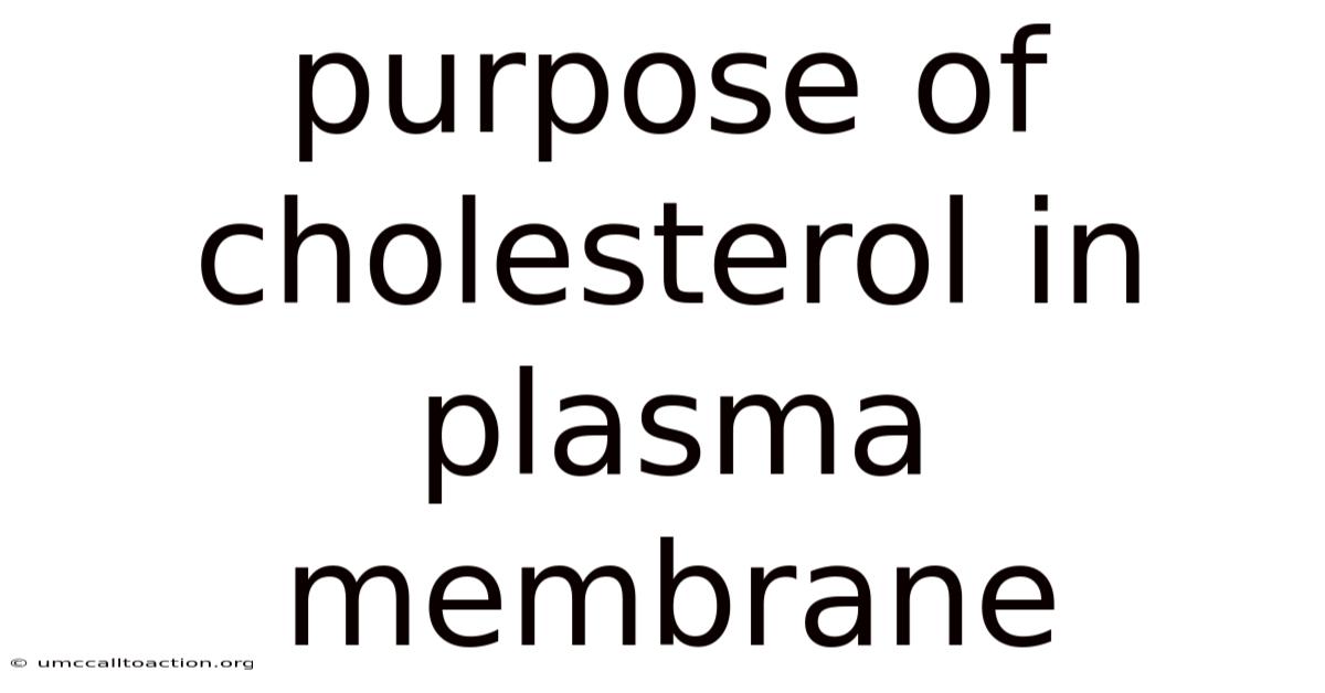 Purpose Of Cholesterol In Plasma Membrane