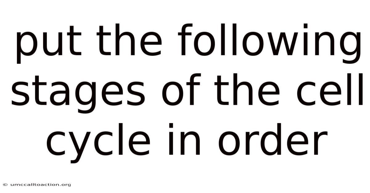 Put The Following Stages Of The Cell Cycle In Order