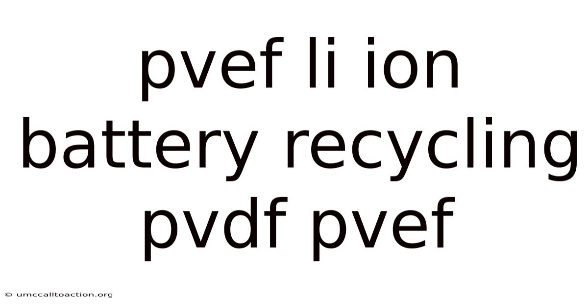 Pvef Li Ion Battery Recycling Pvdf Pvef