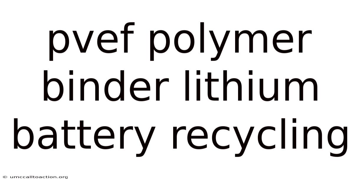 Pvef Polymer Binder Lithium Battery Recycling