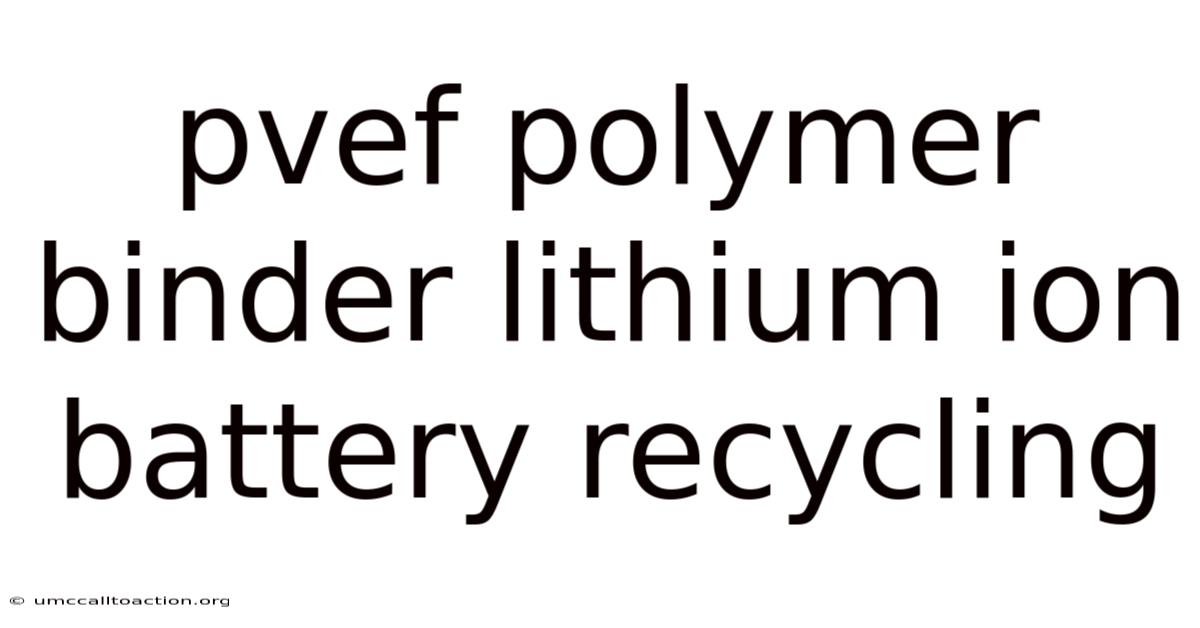Pvef Polymer Binder Lithium Ion Battery Recycling