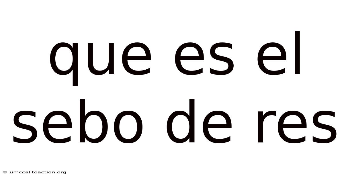 Que Es El Sebo De Res