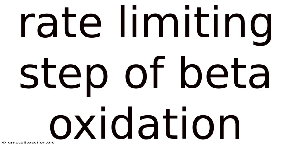 Rate Limiting Step Of Beta Oxidation