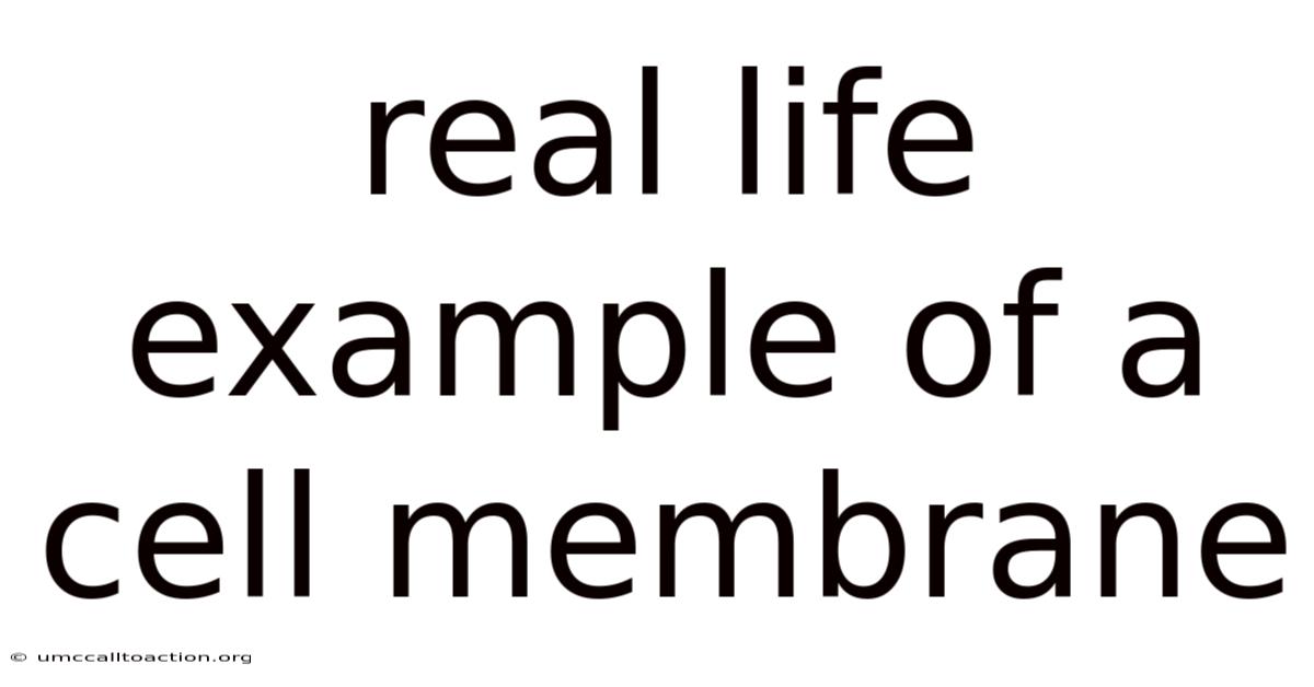 Real Life Example Of A Cell Membrane