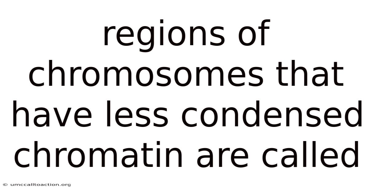 Regions Of Chromosomes That Have Less Condensed Chromatin Are Called