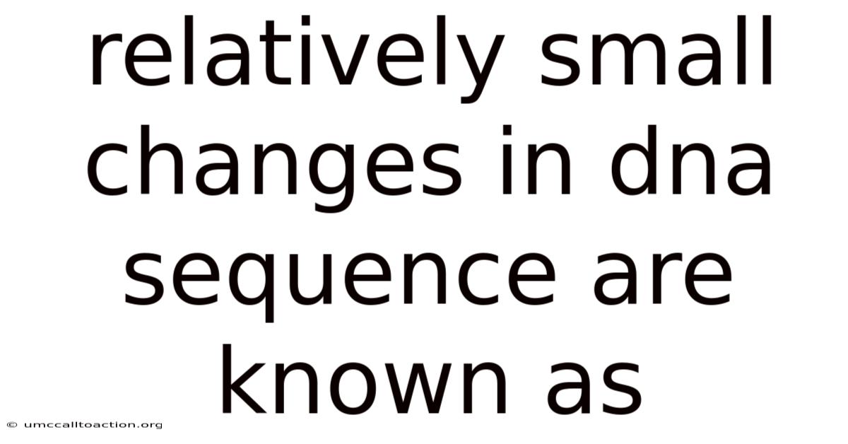 Relatively Small Changes In Dna Sequence Are Known As