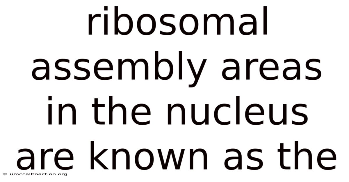Ribosomal Assembly Areas In The Nucleus Are Known As The