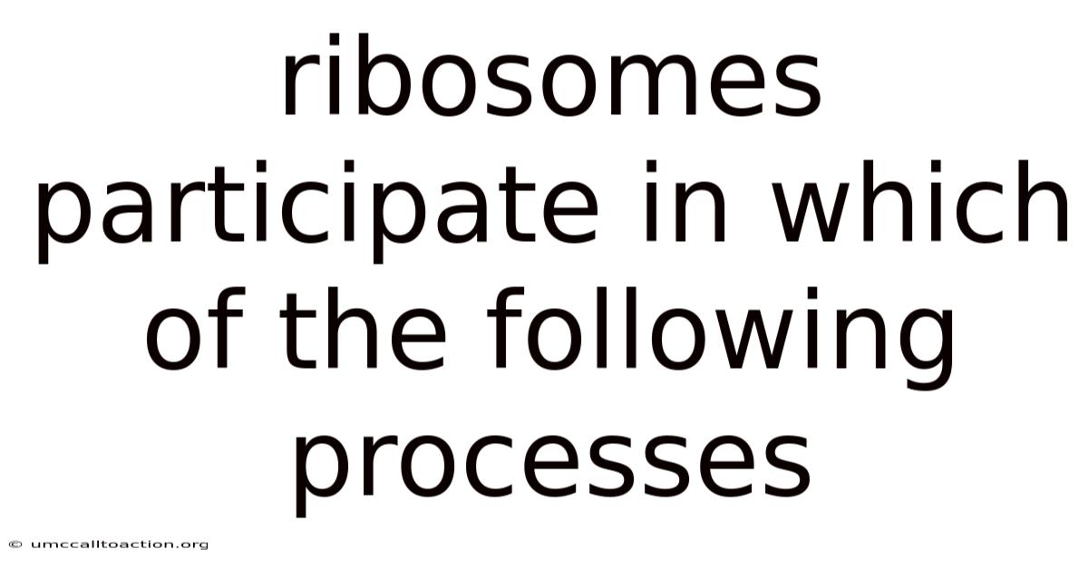 Ribosomes Participate In Which Of The Following Processes